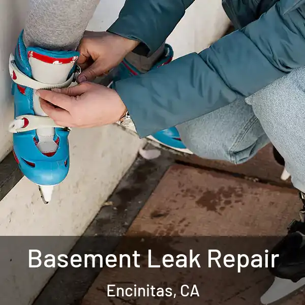  Basement Leak Repair Encinitas, CA