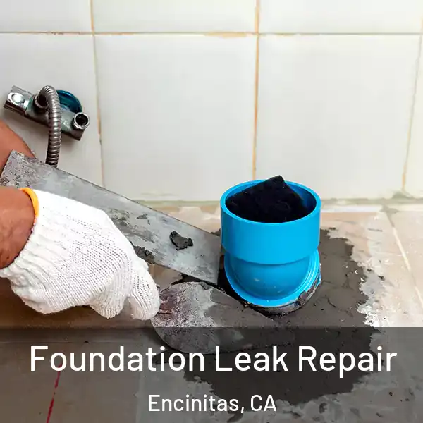  Foundation Leak Repair Encinitas, CA
