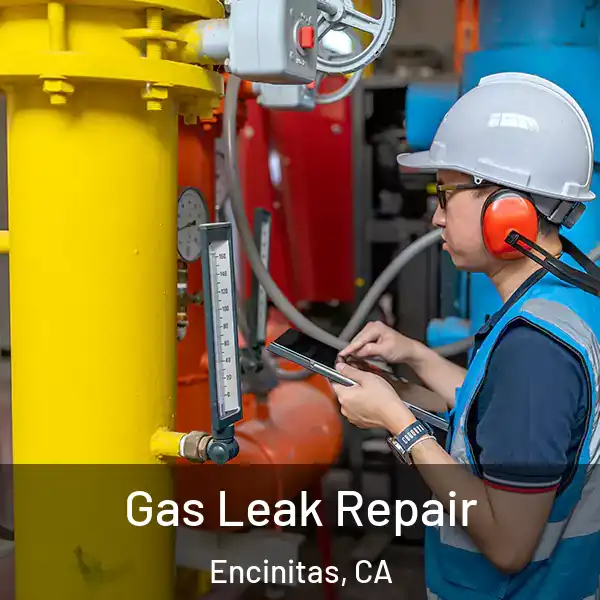 Gas Leak Repair Encinitas, CA