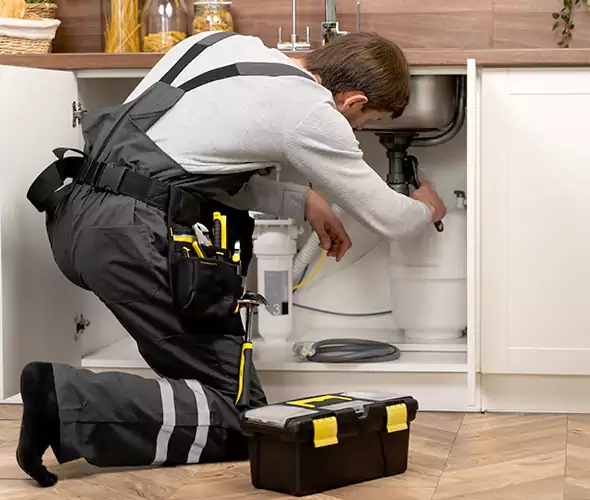 Certified Plumbers for Insinkerator Installation in Encinitas