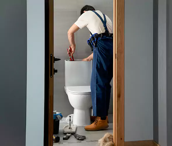 Professional Plumbers for Toilet Bowl Replacement in Encinitas, CA: Schedule Affordable Toilet Replacement Services With Us