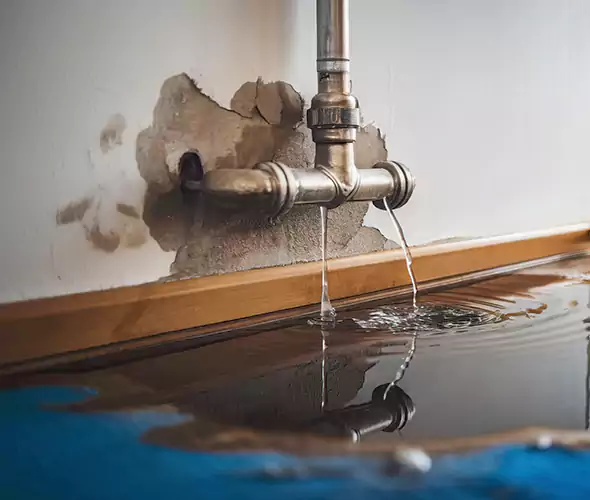 Professional Water Damage Restoration Experts in Encinitas, CA — Fast, Reliable & Certified