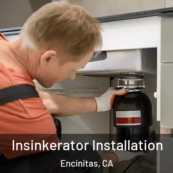  Insinkerator Installation Encinitas, CA