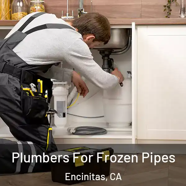  Plumbers For Frozen Pipes Encinitas, CA