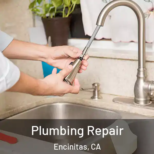  Plumbing Repair Encinitas, CA