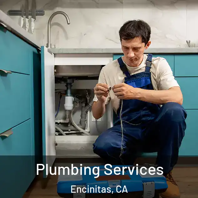  Plumbing Services Encinitas, CA