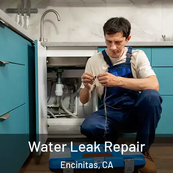 Water Leak Repair Encinitas, CA